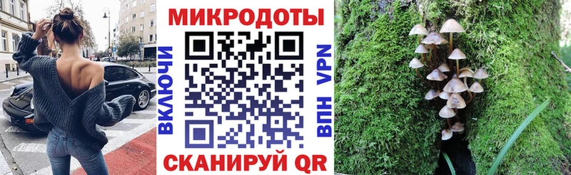 где продают наркотики  Назарово  Галлюциногенные грибы Psilocybine cubensis 